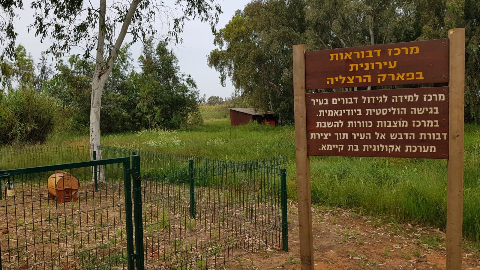 מרכז דבוראות פארק הרצליה
