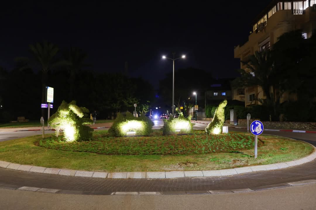 מאירים את הכיכרות