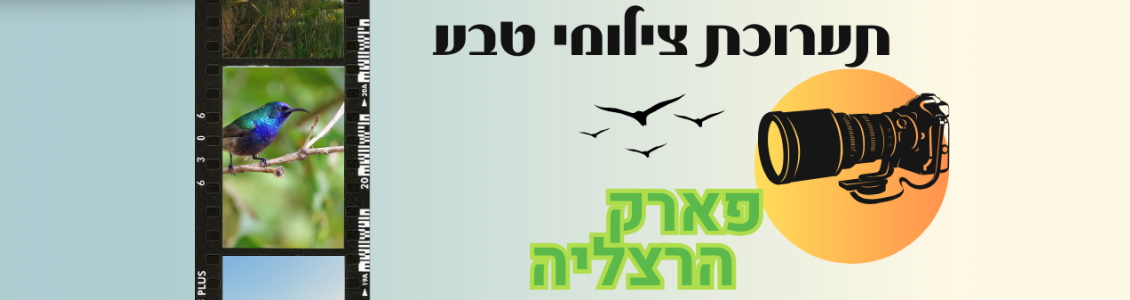תחרות צילומי טבע