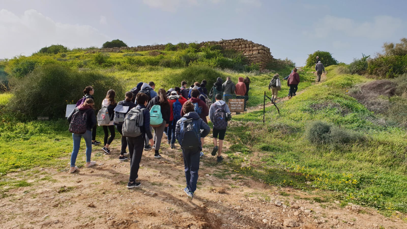 סיור חיפושית
