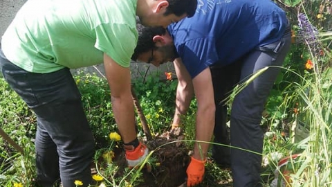 מייפים_גינות_וחצרות.jpg