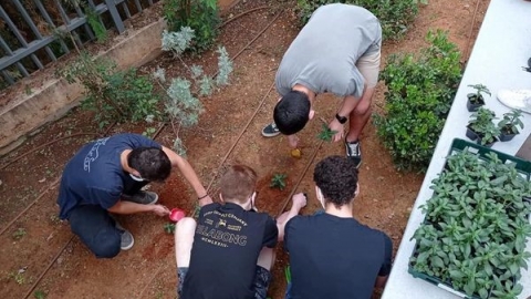 .שתילת פרחים וטיפוח גינות.jpg